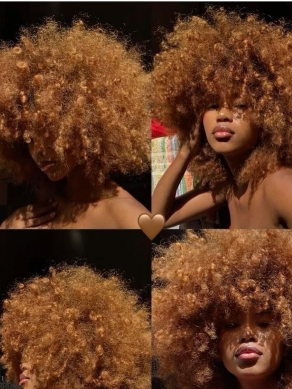 Premium Curly Afro Wig in Copper Brown - Picture 2 of 8